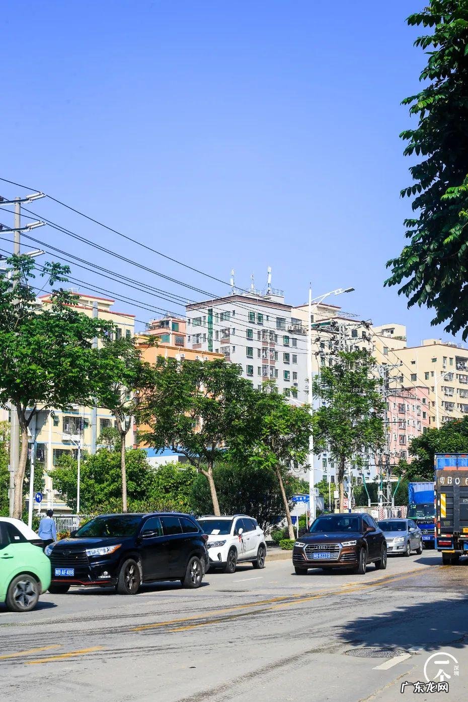 深圳哪里有看风水的 深圳南山区风水