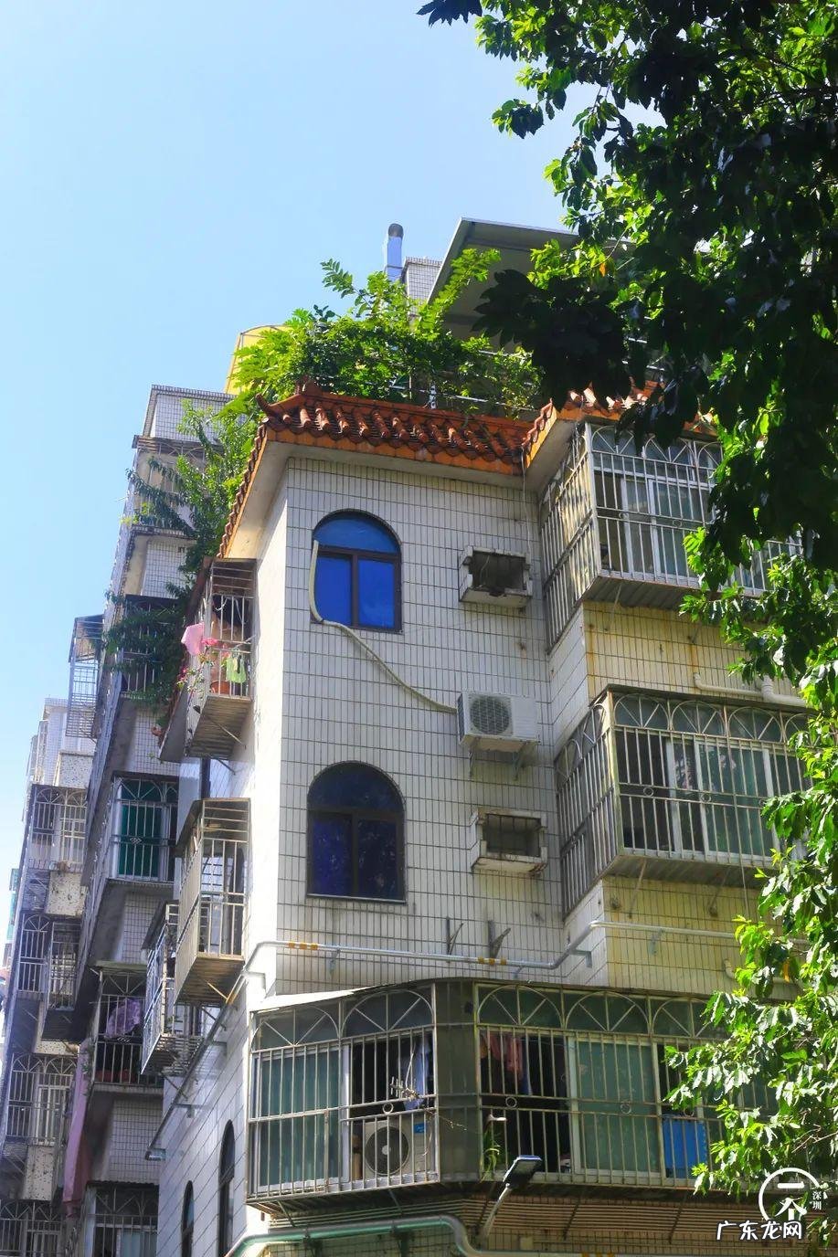 深圳哪里有看风水的 深圳南山区风水