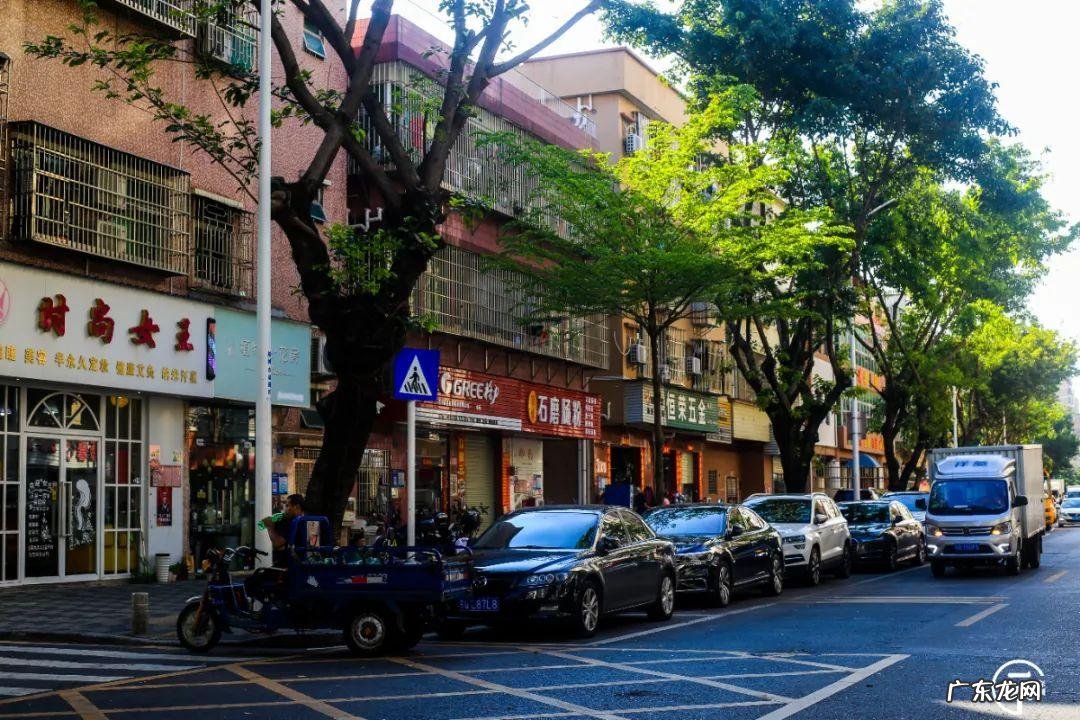 深圳哪里有看风水的 深圳南山区风水