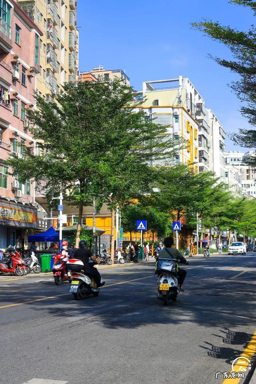 深圳哪里有看风水的 深圳南山区风水