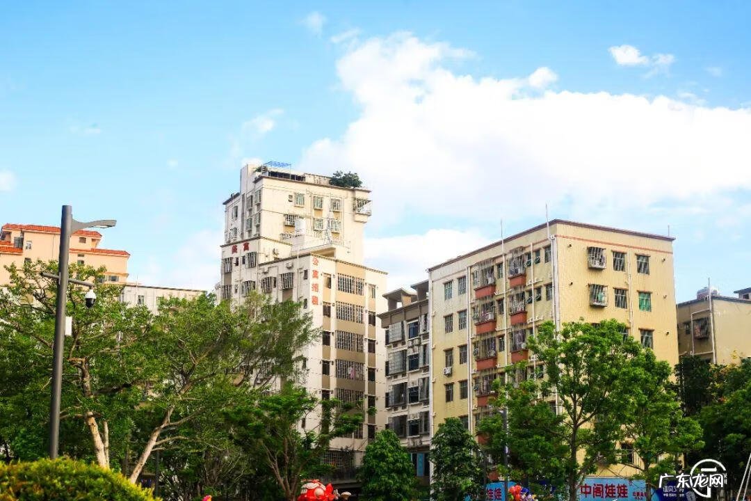 深圳哪里有看风水的 深圳南山区风水