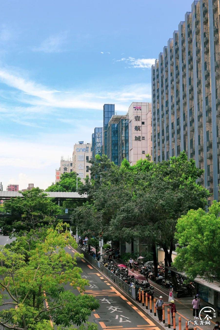 深圳哪里有看风水的 深圳南山区风水