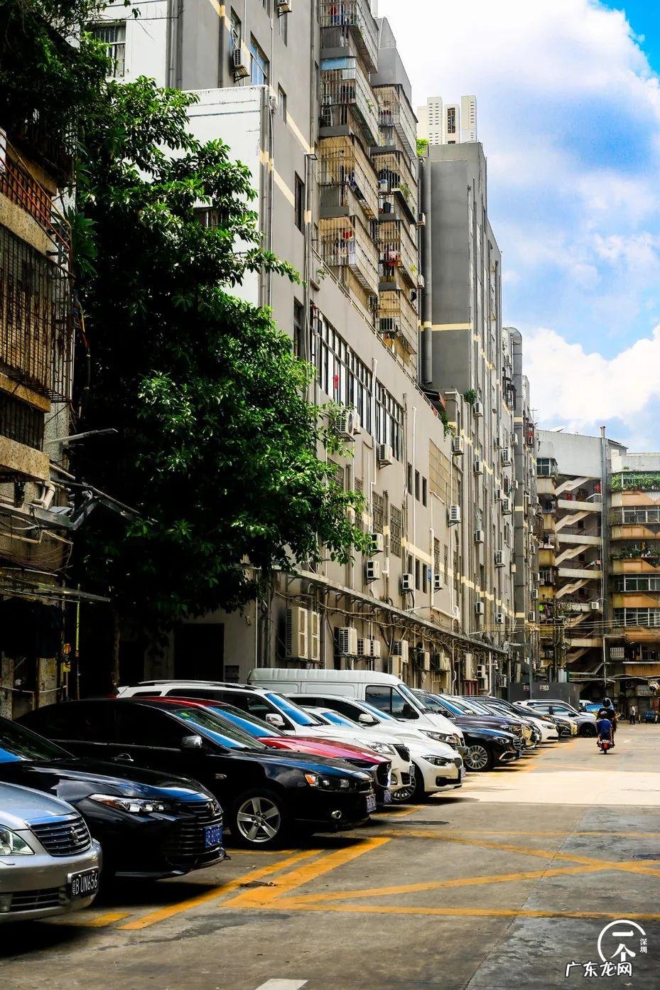 深圳哪里有看风水的 深圳南山区风水