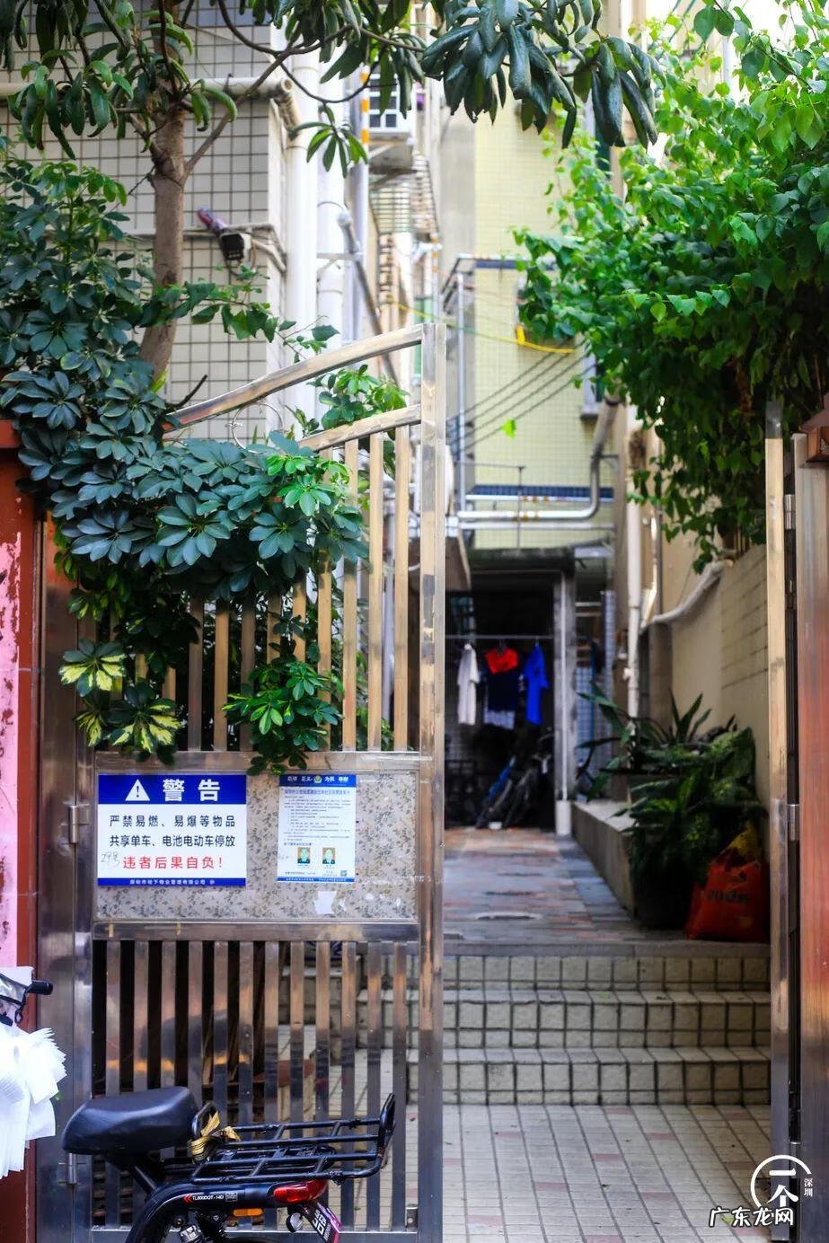 深圳哪里有看风水的 深圳南山区风水