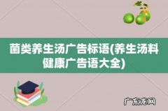 养生汤料健康广告语大全 菌类养生汤广告标语