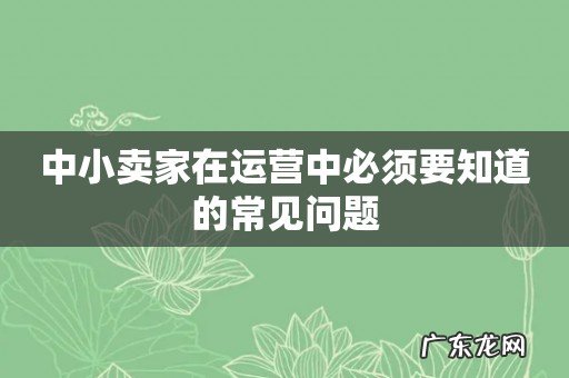中小卖家在运营中必须要知道的常见问题