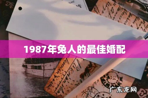 1987年兔人的最佳婚配