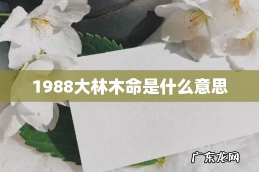 1988大林木命是什么意思