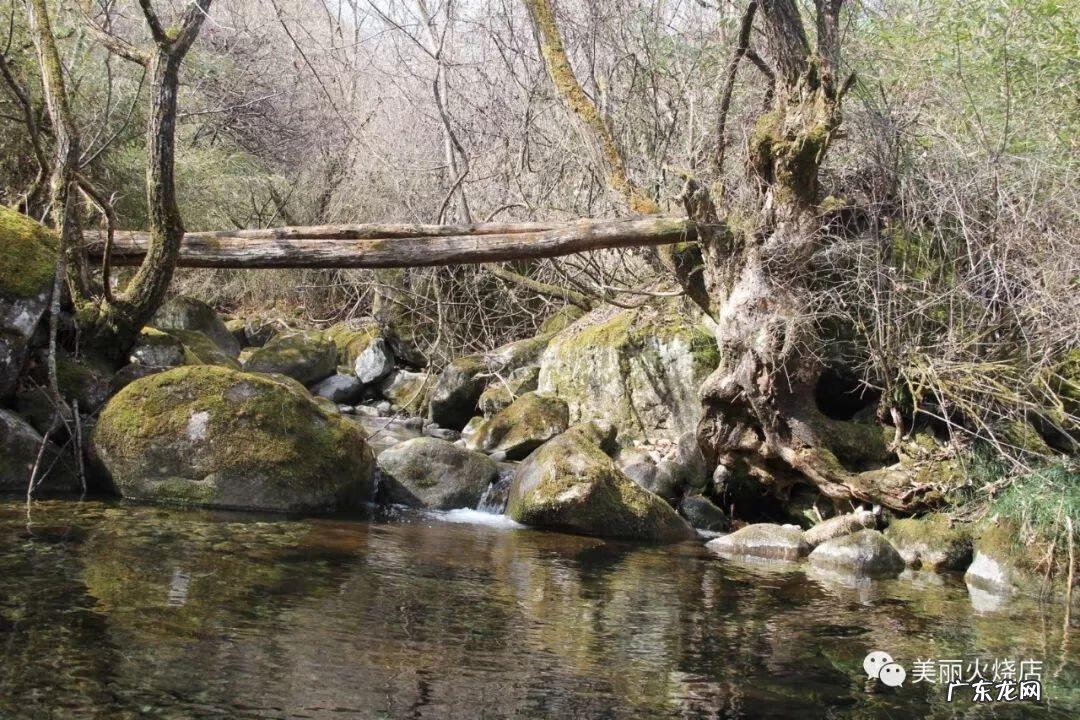 江西天星风水培训 莫干山天星风水培训