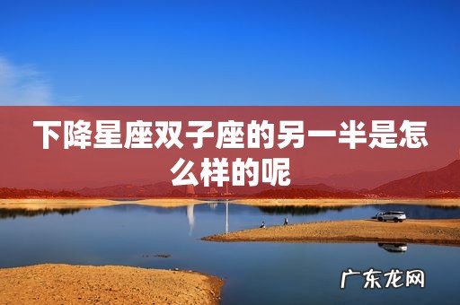下降星座双子座的另一半是怎么样的呢