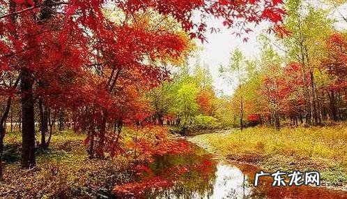 沈阳哪有会看风水的大师 沈阳的一个小伙讲风水的是谁