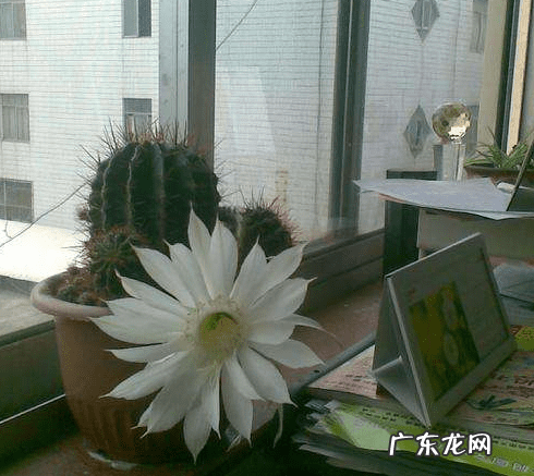 是非多的风水怎么办