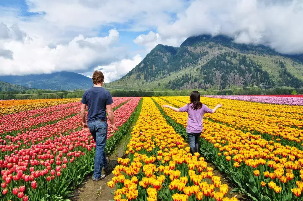 温哥华好在哪里