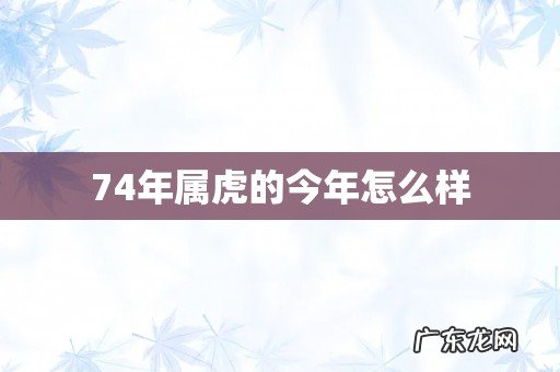 74年属虎的今年怎么样
