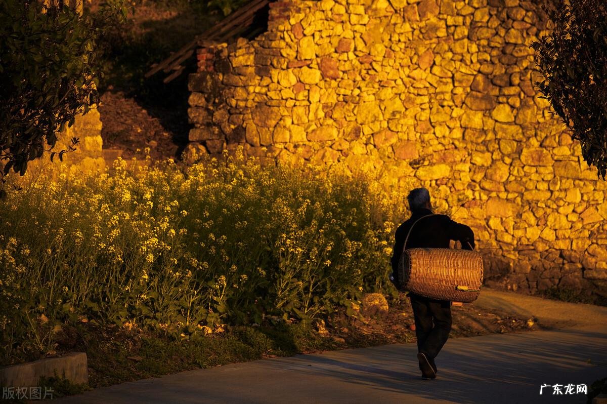 老宅风水怎么看 有人家的老宅子风水怎样化解