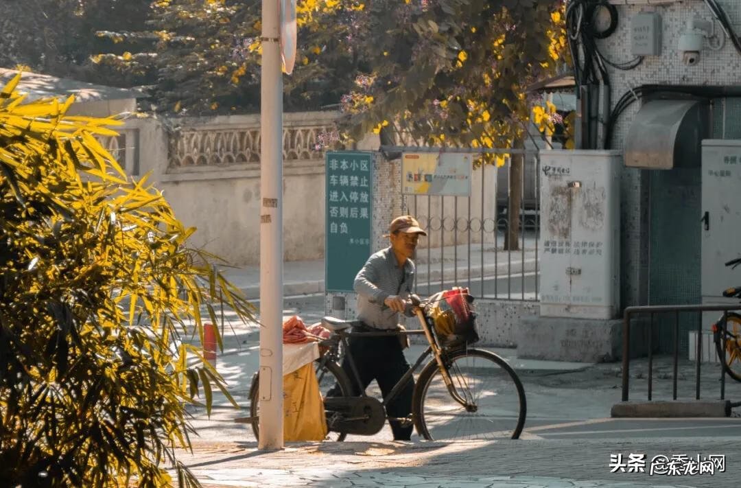 老香洲 老香洲哪里风水最好的