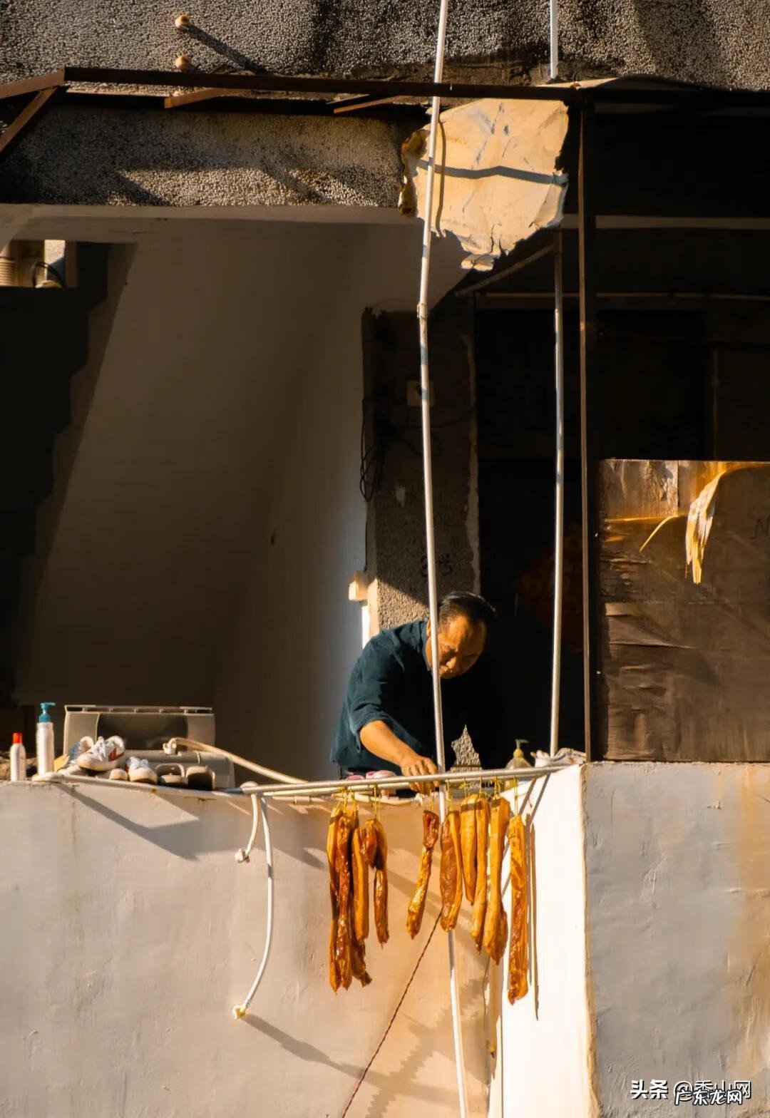 老香洲 老香洲哪里风水最好的