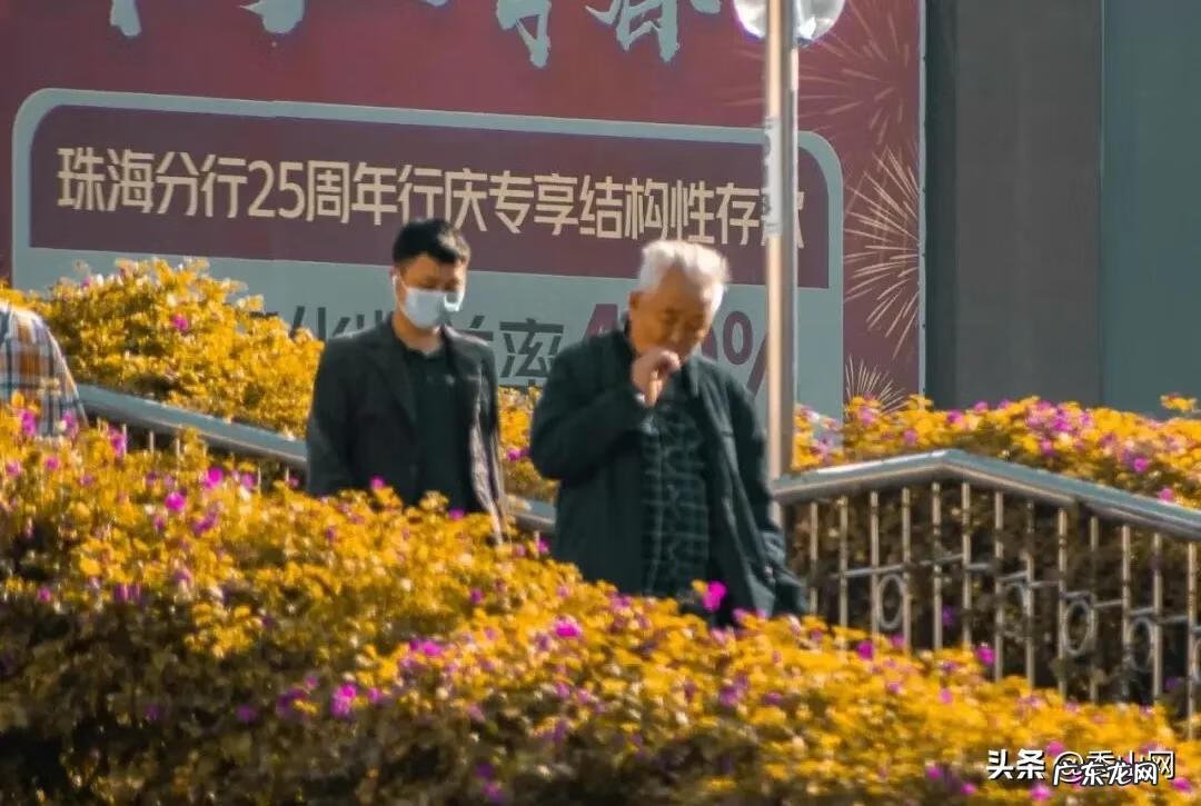 老香洲 老香洲哪里风水最好的