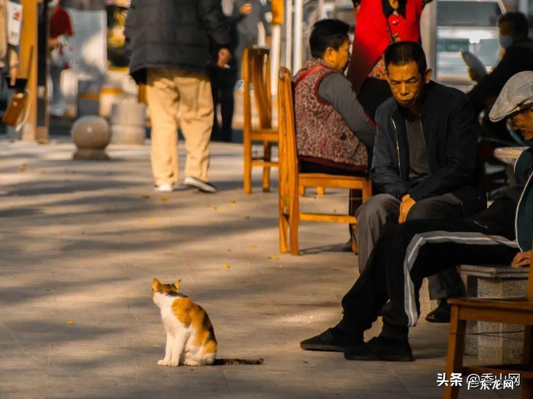 老香洲 老香洲哪里风水最好的