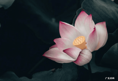 什么样的人风水最好 什么样的缘分得到好风水呢