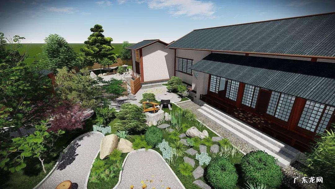 红木植物 红继木的风水