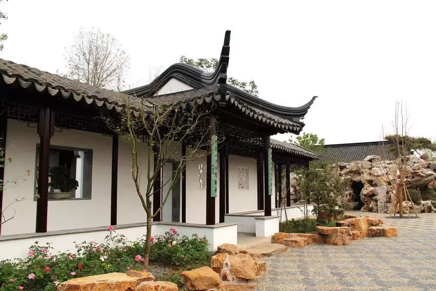 红木植物 红继木的风水