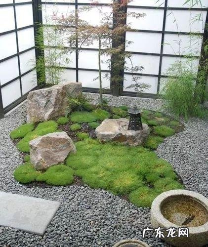 红木植物 红继木的风水