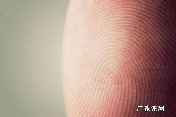 风水八斗是什么意思啊