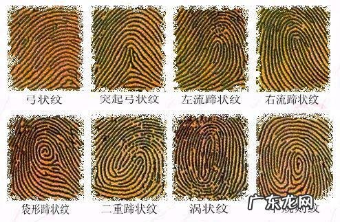 风水八斗是什么意思啊