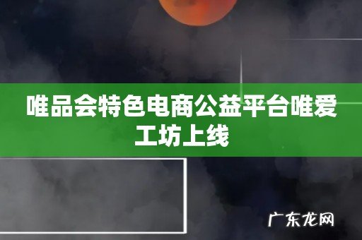 唯品会特色电商公益平台唯爱工坊上线