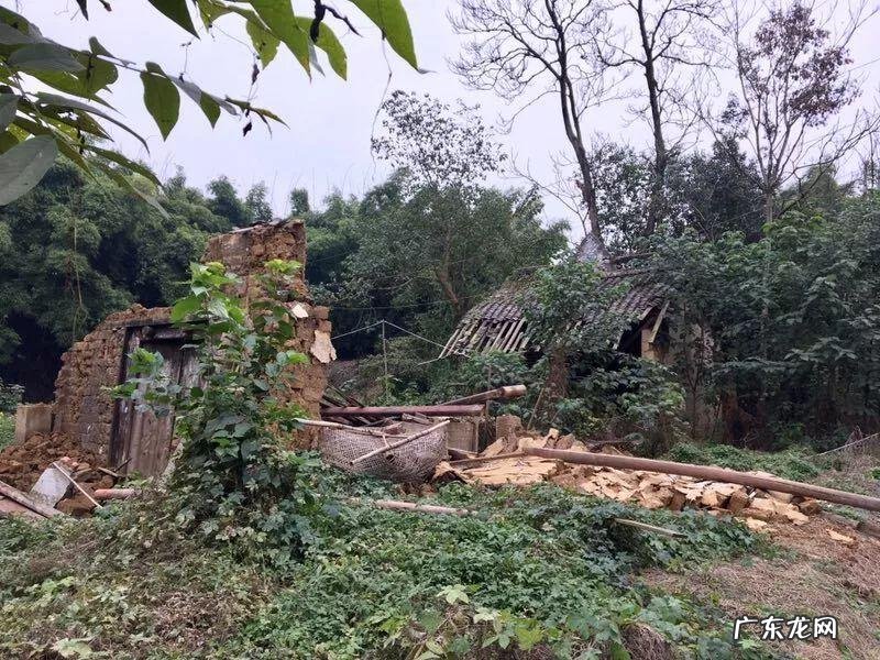 祠堂前的风水池塘 祠堂前风水树好不好