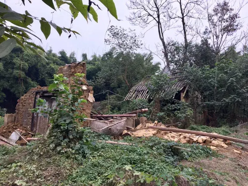 祠堂前的风水池塘 祠堂前风水树好不好