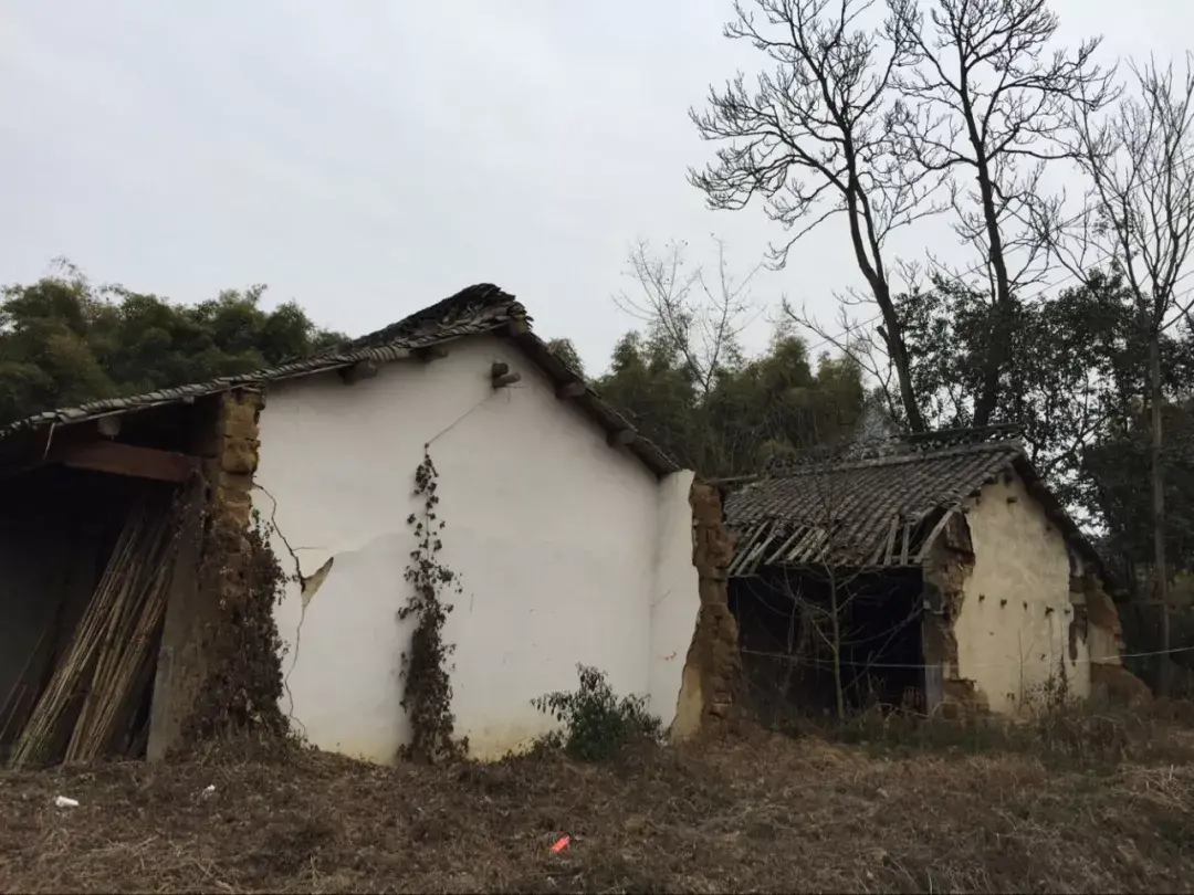 祠堂前的风水池塘 祠堂前风水树好不好
