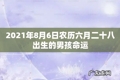 2021年8月6日农历六月二十八出生的男孩命运