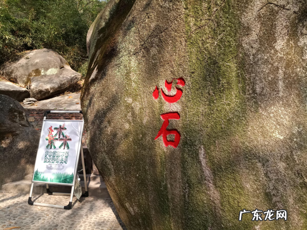 厦门有人看风水厉害的人吗 厦门高品质琉璃风水店