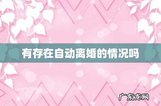 有存在自动离婚的情况吗