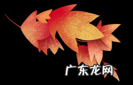 百色水库灌区路线 东风水库到百色小路怎么走