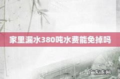 家里漏水380吨水费能免掉吗