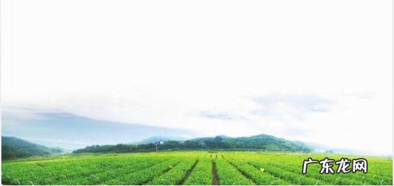 水泥复古风格装修图片 常宁工业风水泥漆效果图