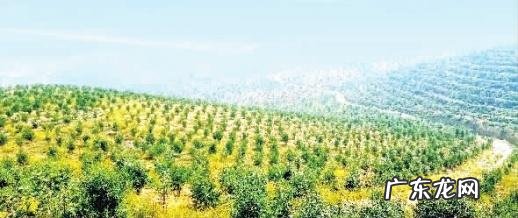 水泥复古风格装修图片 常宁工业风水泥漆效果图