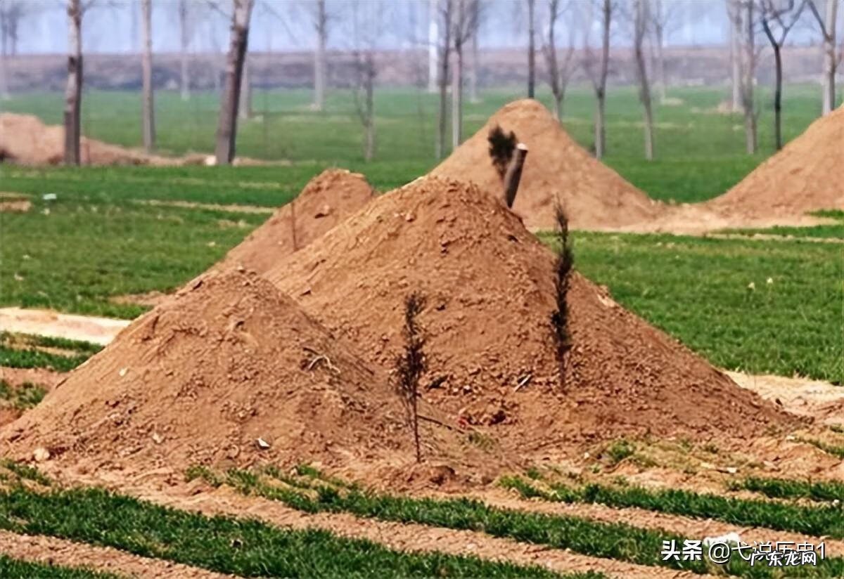 后面是山前面是河的风水 风水上有山有水