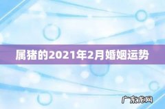 属猪的2021年2月婚姻运势