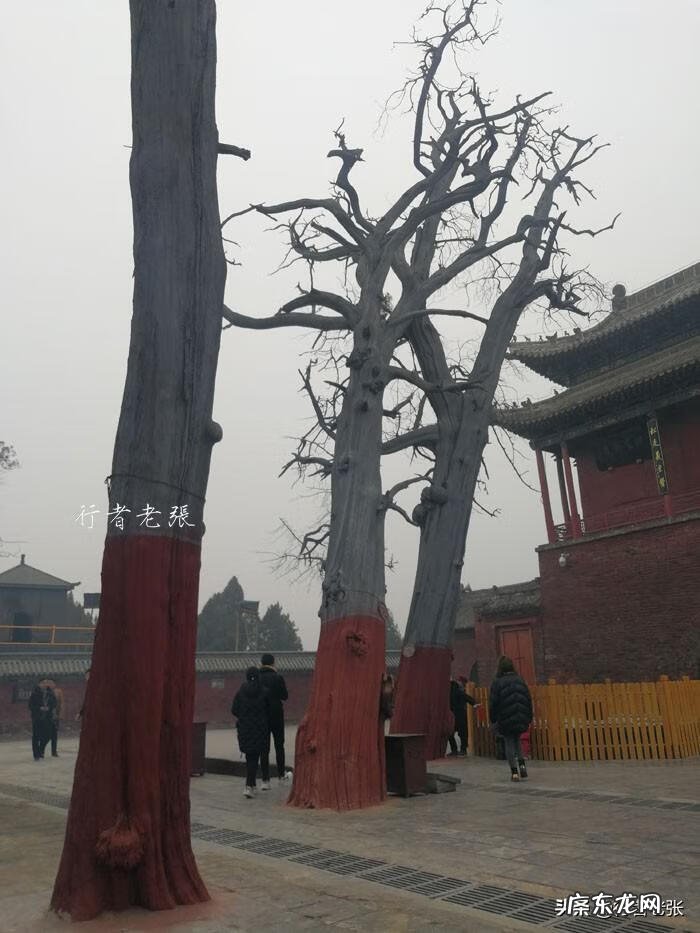 刘衍奎风水大师 陈国镇风水