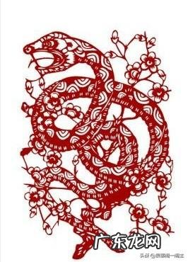 腊月蛇女的命运 腊月蛇女和什么属相最配