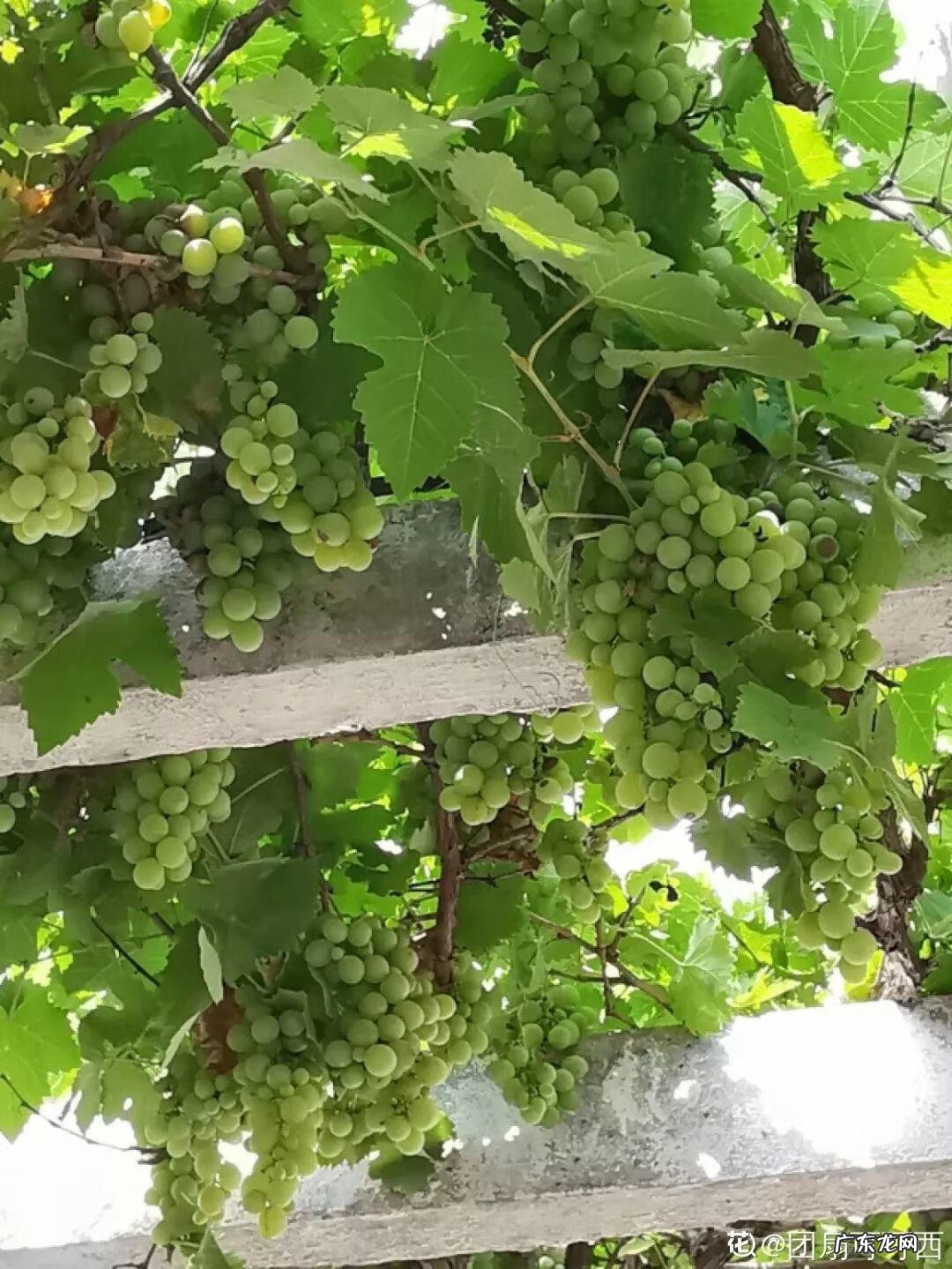 买银色水晶风水球好吗