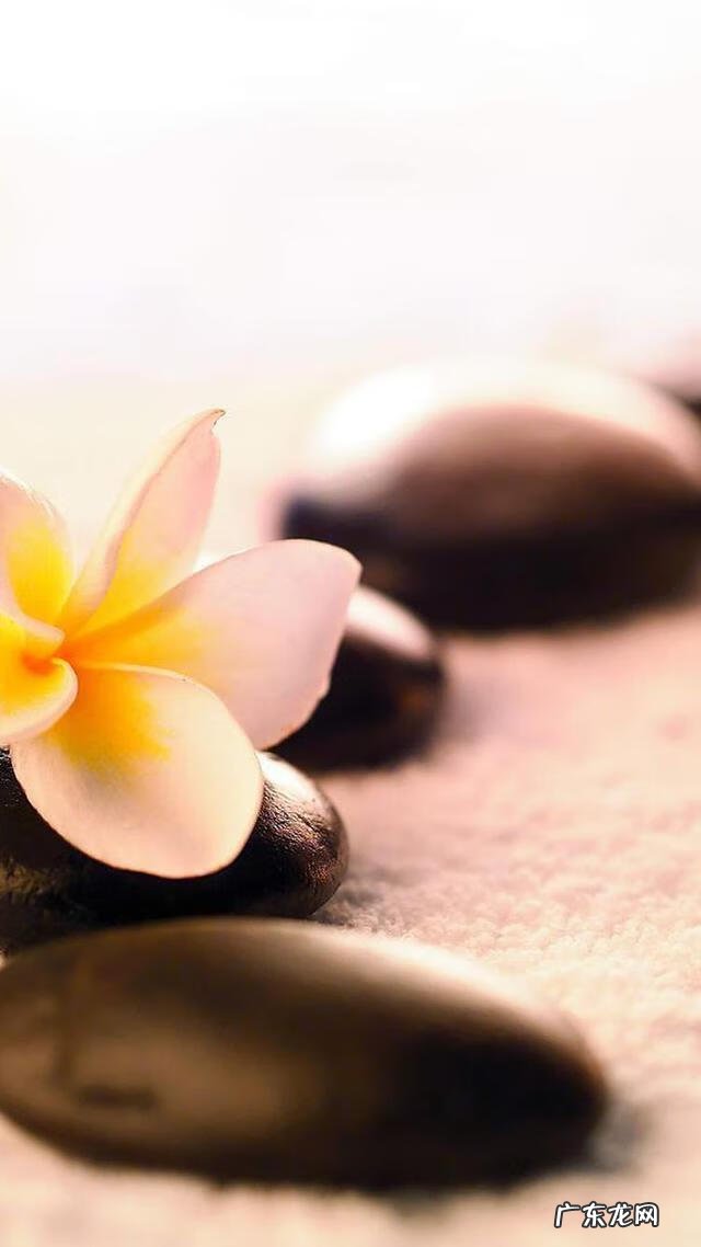 大早上的把碗打了好不好 早餐店吃到缺碗风水好吗