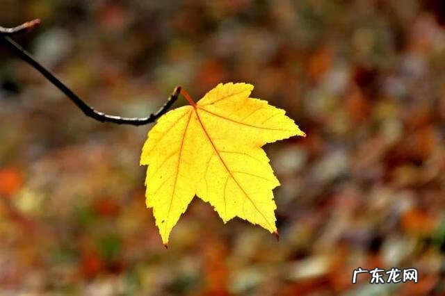 大早上的把碗打了好不好 早餐店吃到缺碗风水好吗