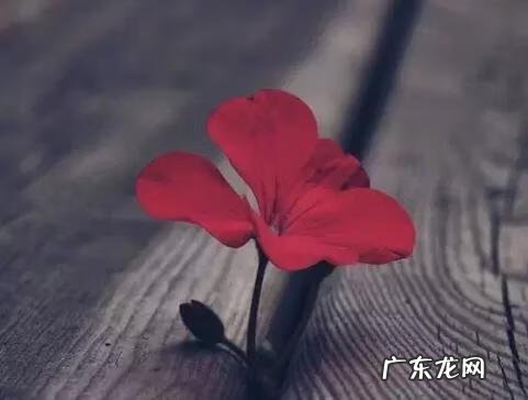 大早上的把碗打了好不好 早餐店吃到缺碗风水好吗