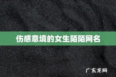 伤感意境的女生陌陌网名