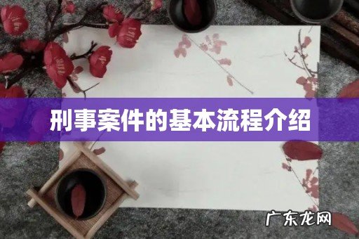 刑事案件的基本流程介绍